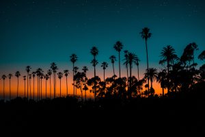 Beach night time