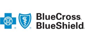 Blue cross blue shield icon